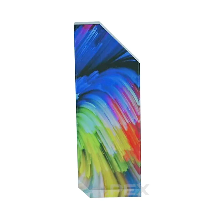 Colorful Luxury Trophy Award Custom Acrylic Cooperate Award