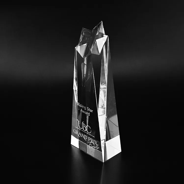 Custom Rising Star Award Crystal Trophy