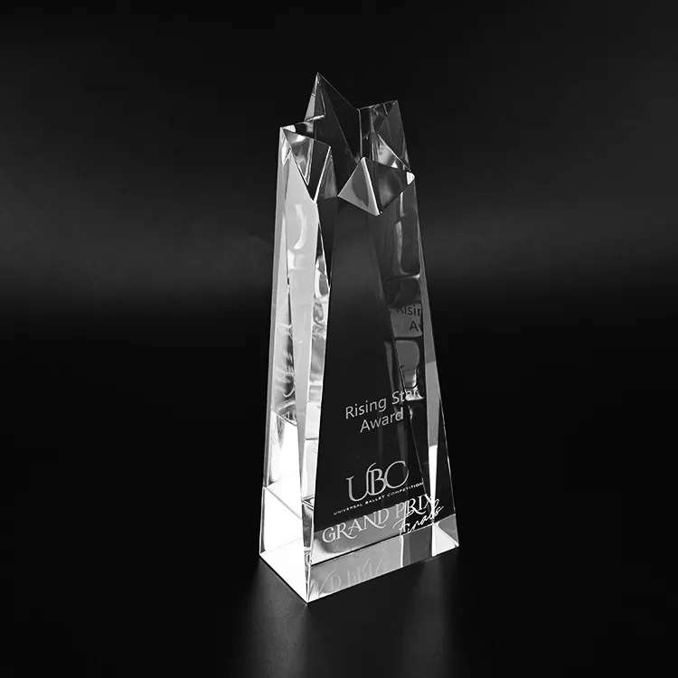 Custom Rising Star Award Crystal Trophy