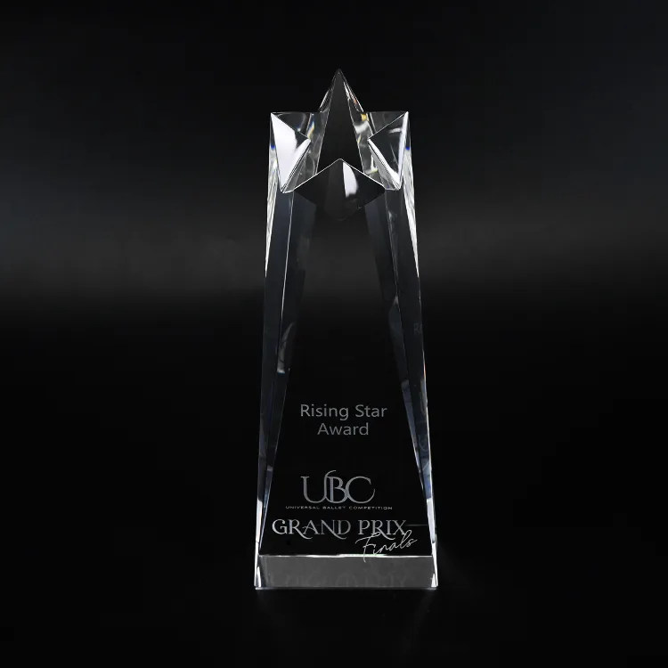 Custom Rising Star Award Crystal Trophy