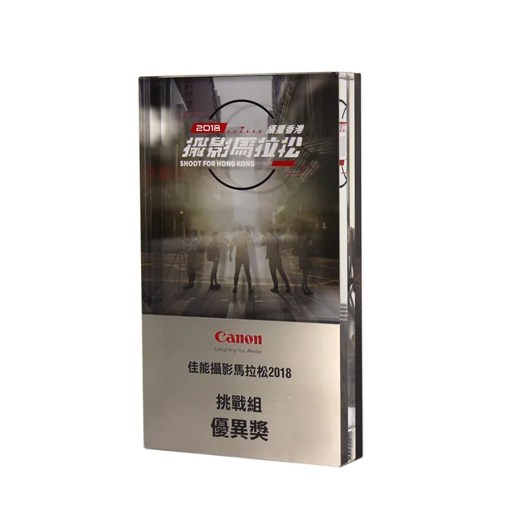 Customized Trophy Acrylic Trophies for Business Gift
