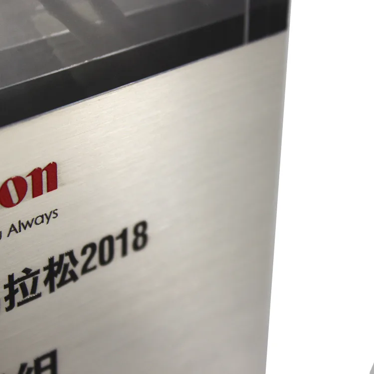 Customized Trophy Acrylic Trophies for Business Gift
